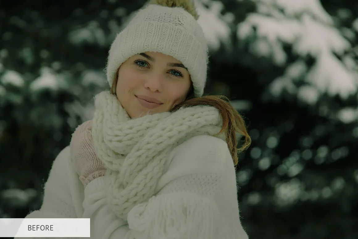 Winter Joy Mobile Presets