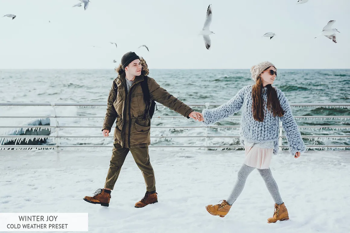 Winter Joy Mobile Presets