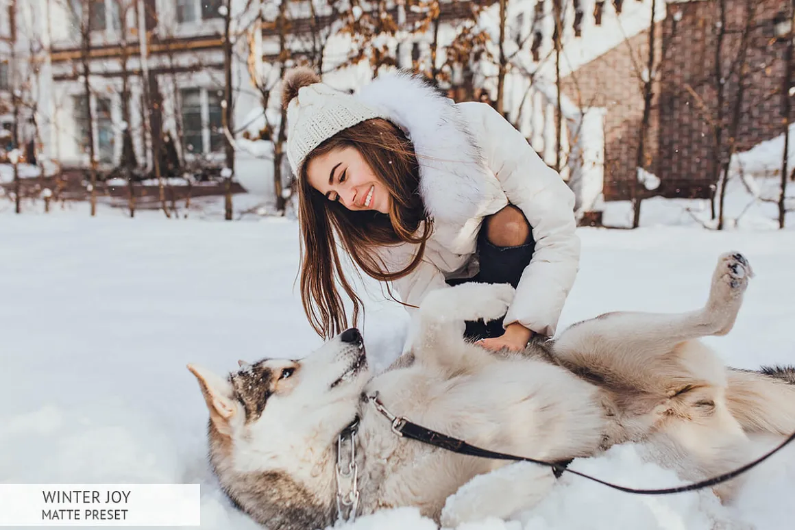 Winter Joy Mobile Presets
