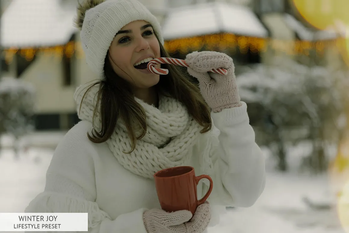 Winter Joy Mobile Presets