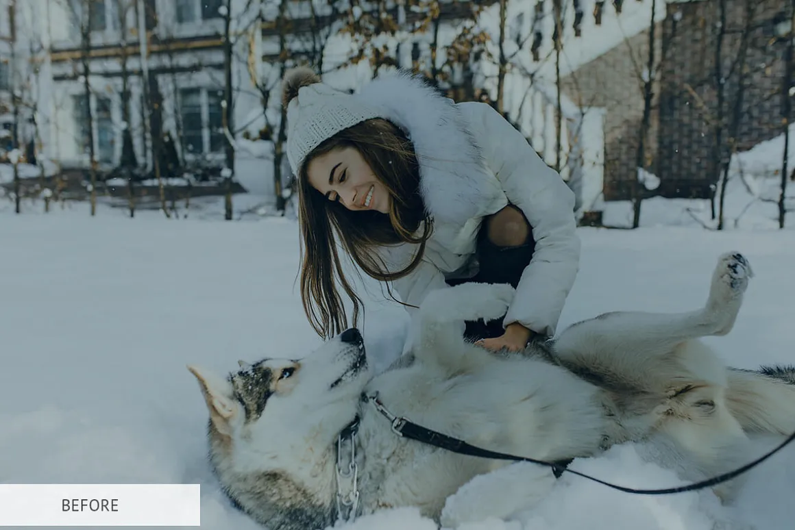 Winter Joy Mobile Presets