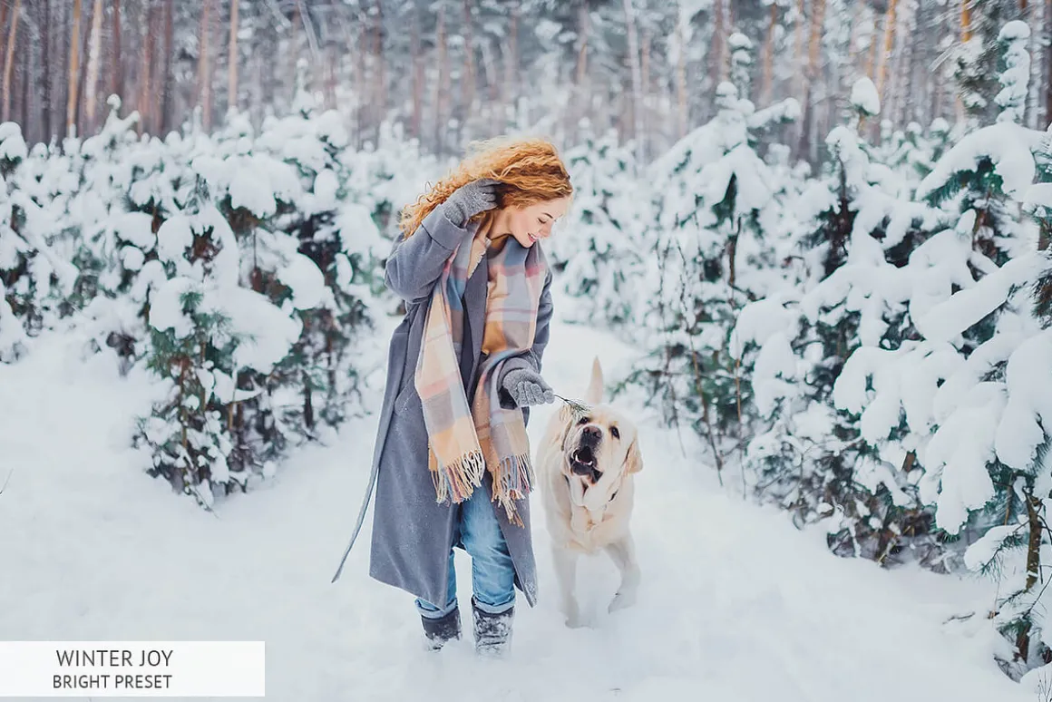 Winter Joy Mobile Presets