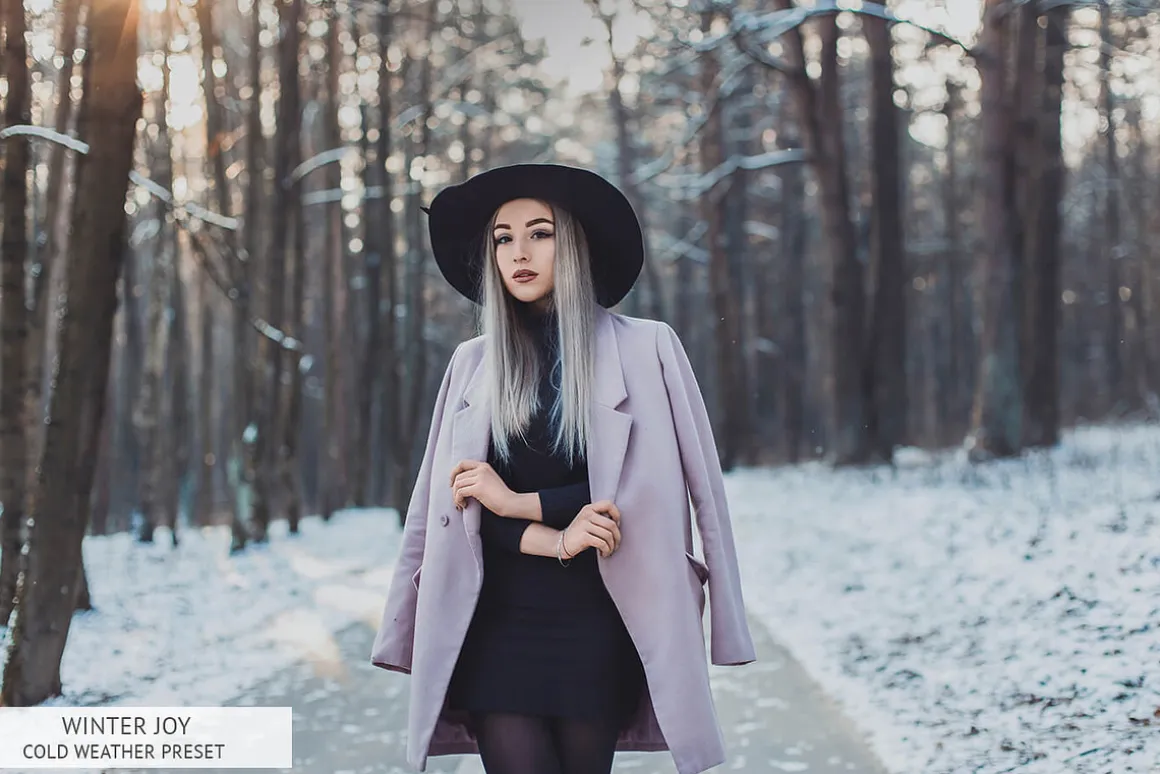 Winter Joy Mobile Presets