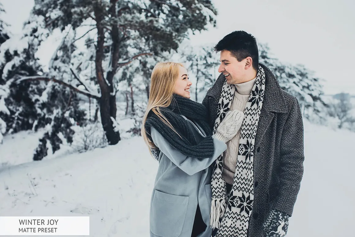 Winter Joy Mobile Presets