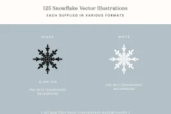 Winter Snowflake Vector Illustration