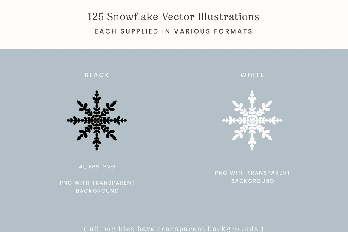 Winter Snowflake Vector Illustration