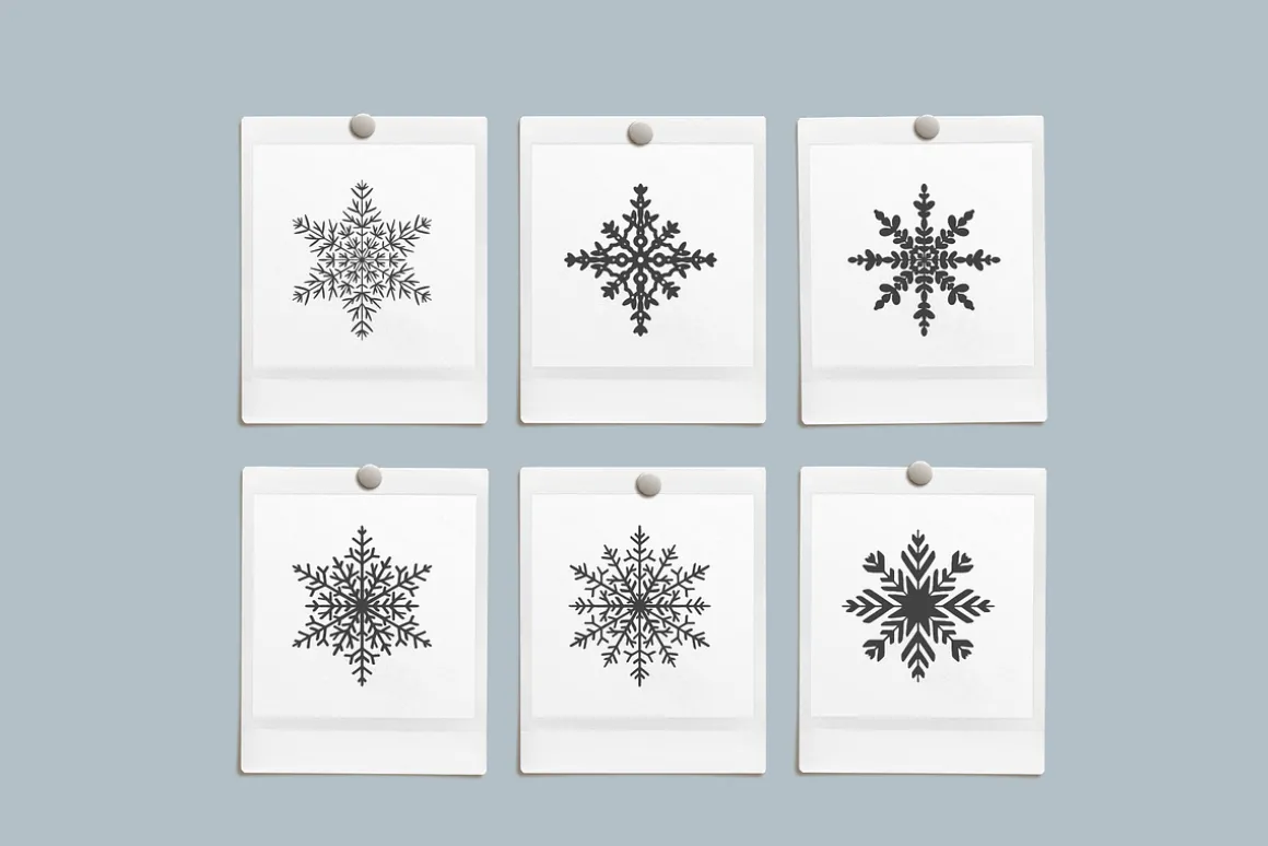 Winter Snowflake Vector Illustration