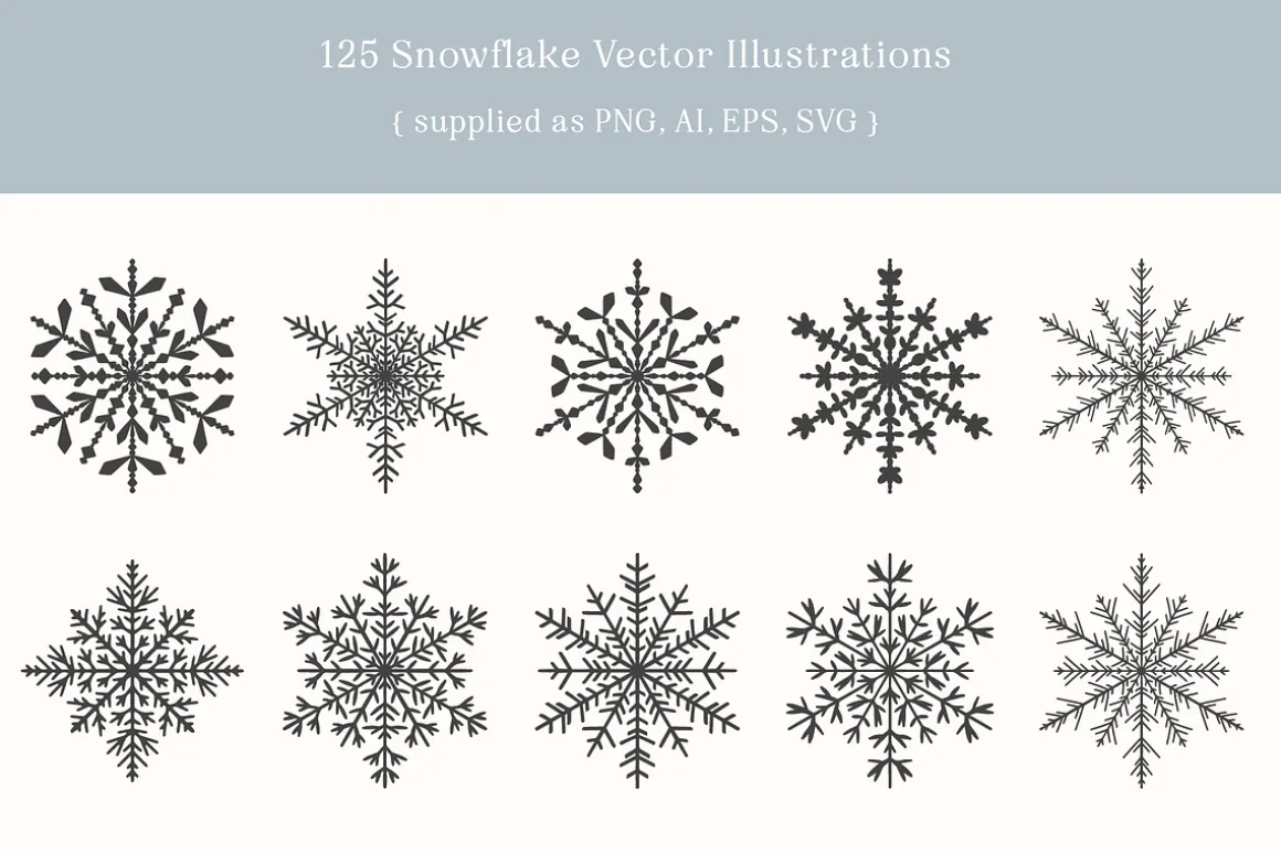 Winter Snowflake Vector Illustration
