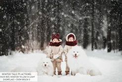 Winter Tale Photoshop Actions