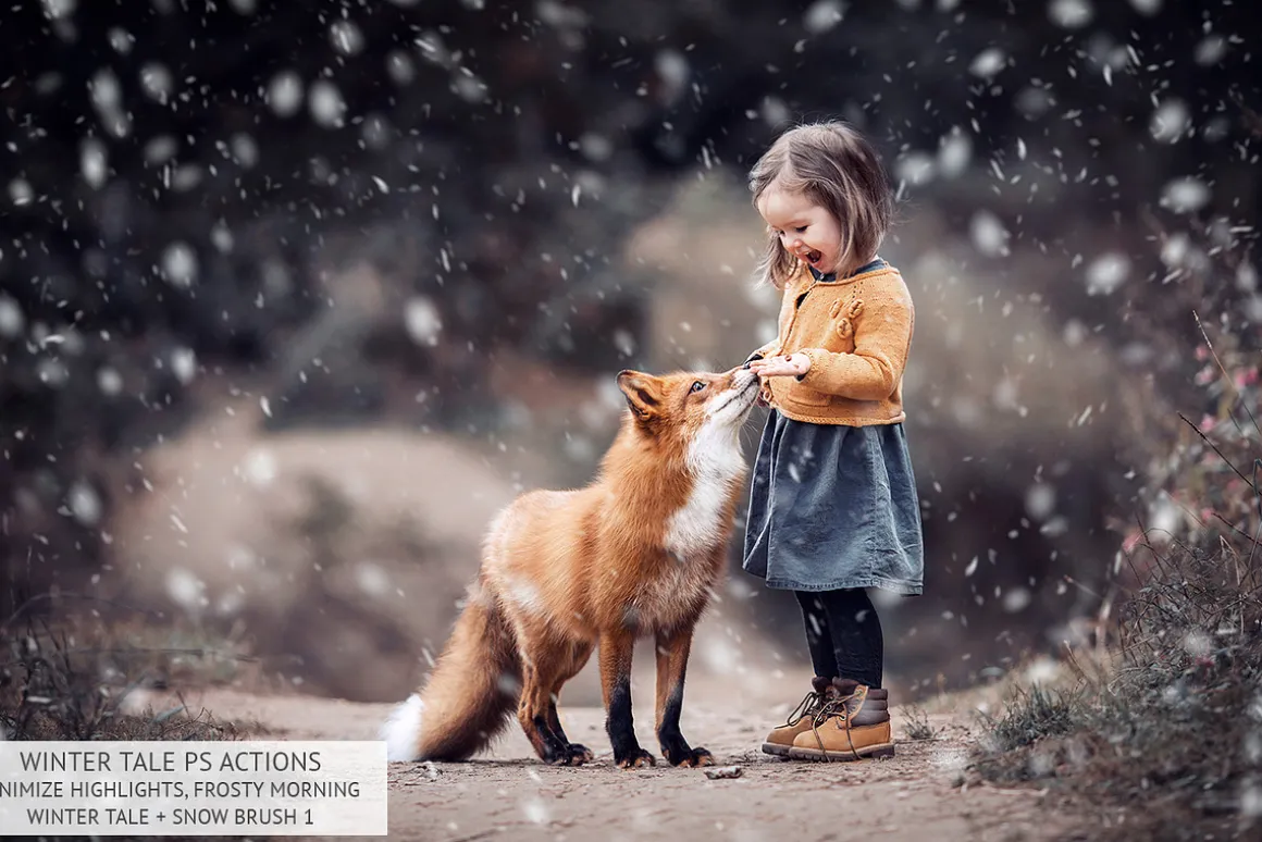 Winter Tale Photoshop Actions
