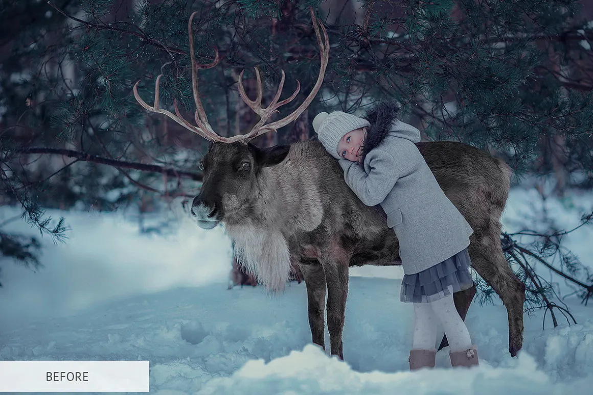 Winter Tale Photoshop Actions