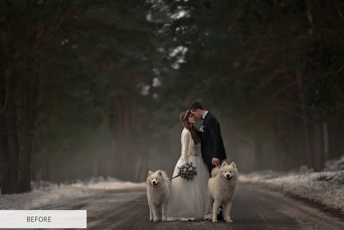 Winter Tale Photoshop Actions