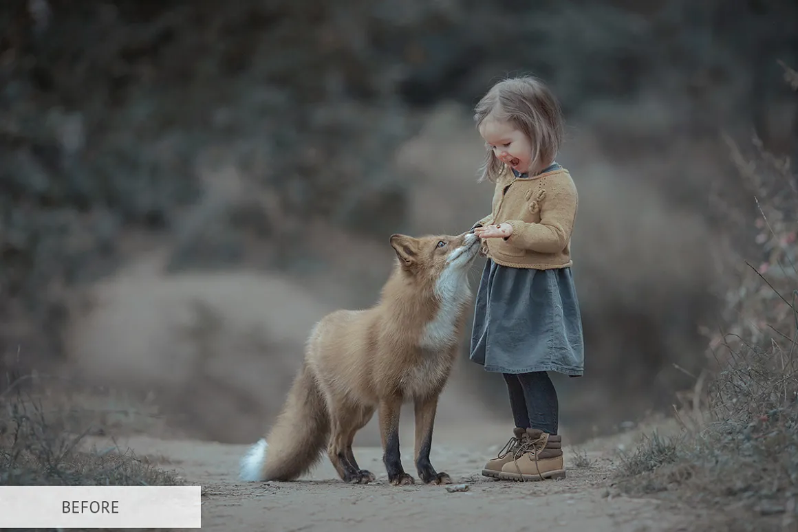 Winter Tale Photoshop Actions