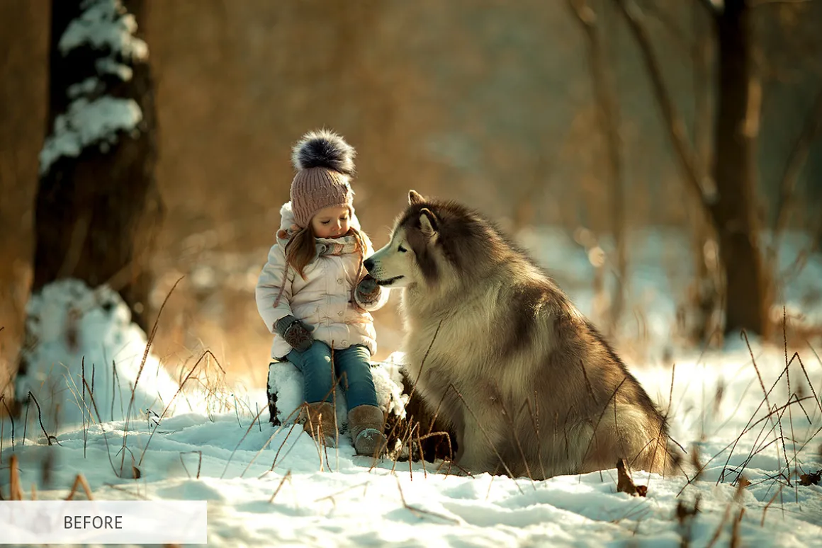 Winter Tale Photoshop Actions