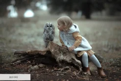 Winter Tale Photoshop Actions