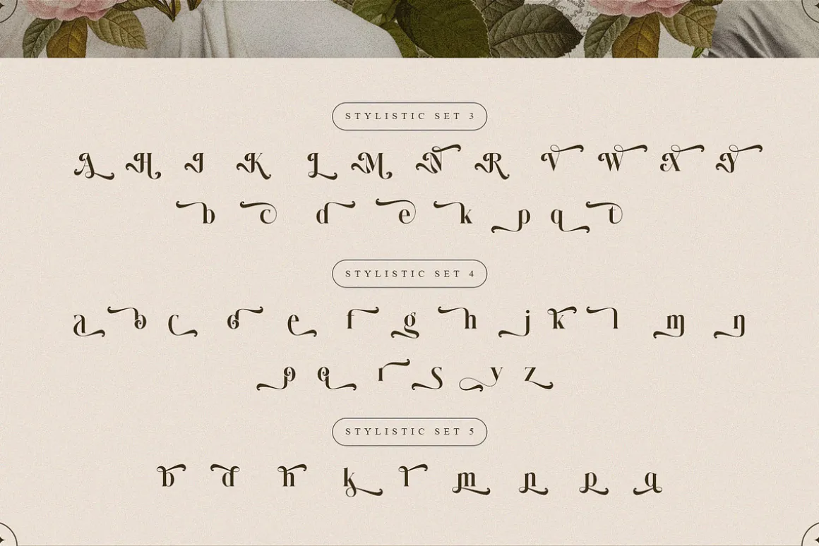 Wistle – Elegant Stylish Serif