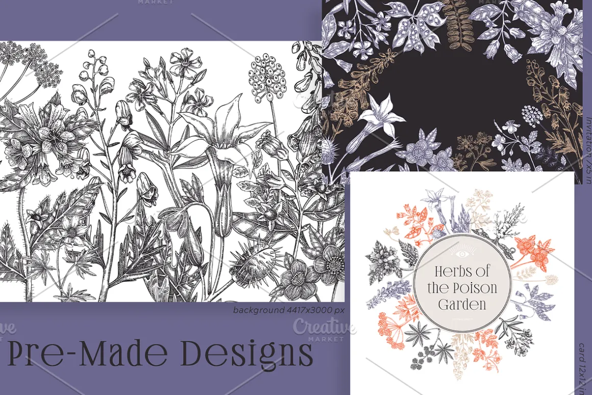 Witchcraft Herbs Vectors & Designs