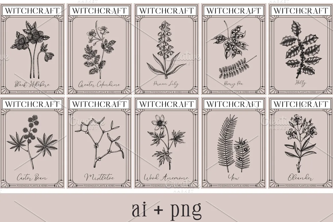 Witchcraft Herbs Vectors & Designs