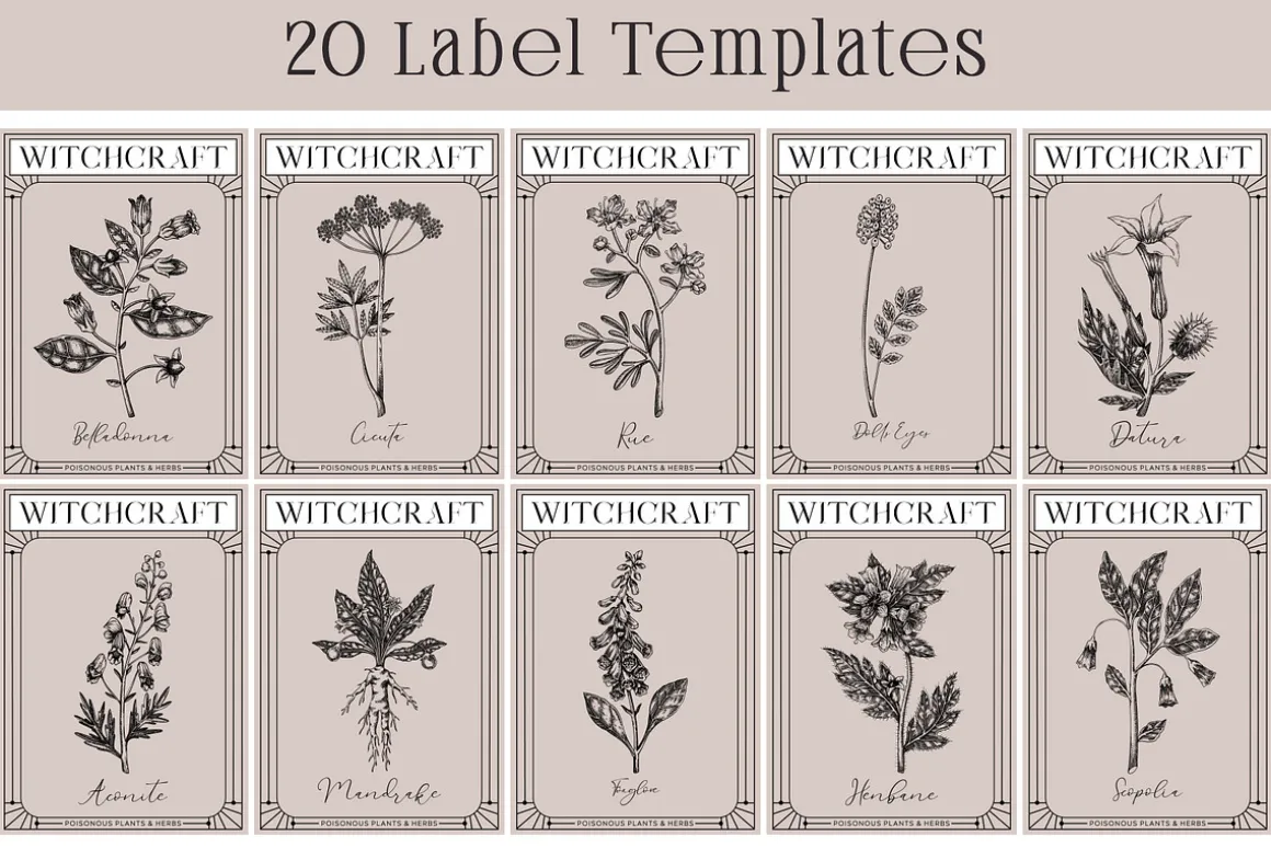 Witchcraft Herbs Vectors & Designs