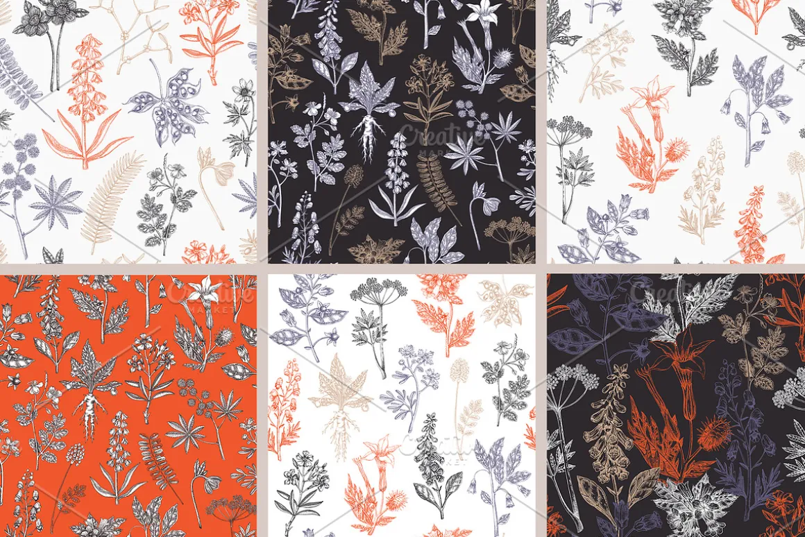 Witchcraft Herbs Vectors & Designs
