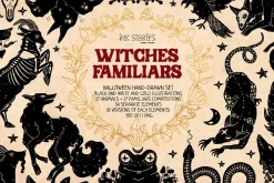 Witches Familiars
