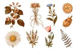 Witchy Botanica Collage Kit