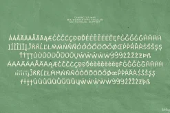 Wondertype — A Font Duo