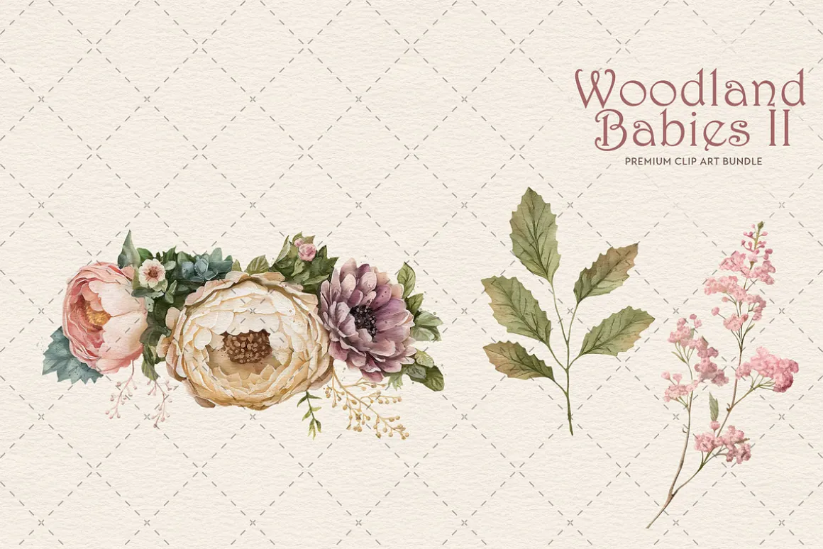 Woodland Animals Megabundle
