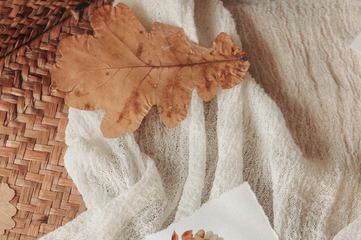 Woodland Watercolor Autumn Set