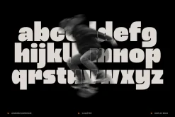 Wosker - Bold Font