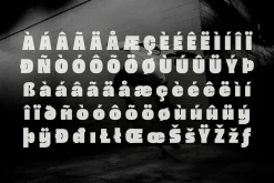 Wosker - Bold Font