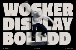 Wosker - Bold Font