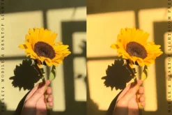 YELL HOW - Lightroom Presets