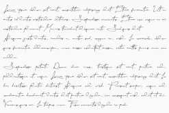 Yellova Signature