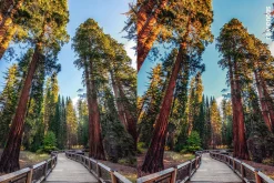 25 Yosemite Lightroom Presets LUTs
