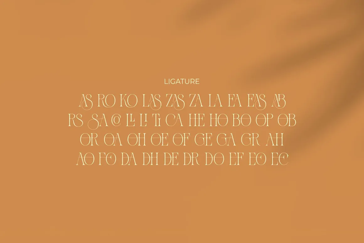 Zaslia - Elegant Ligature Serif