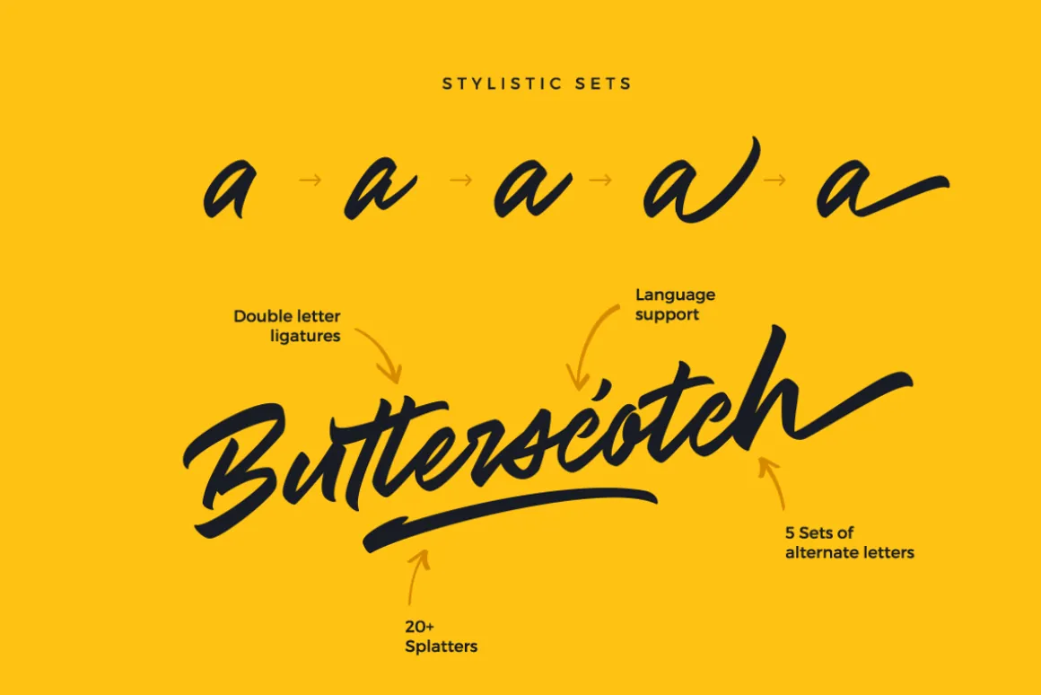 Zenith Script