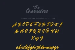 Zenith Script