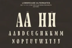 Zewyolk - Bold Condensed Display